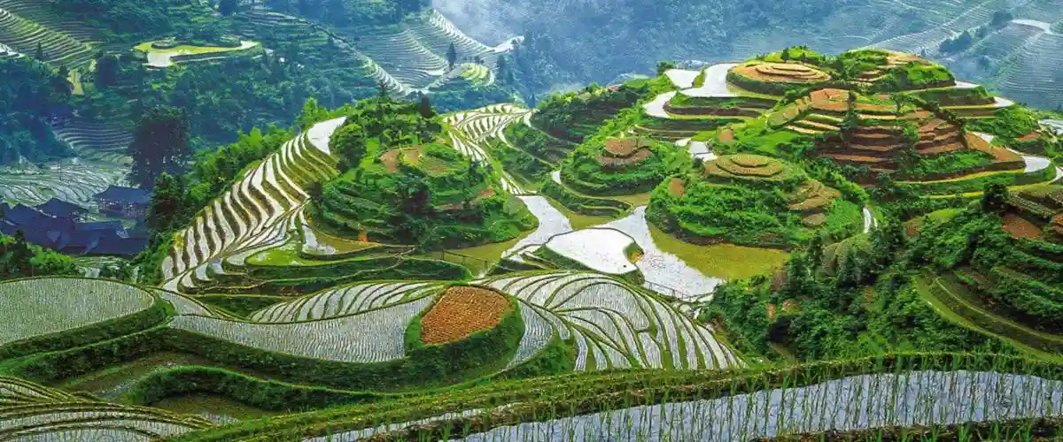 Longji Terrace 