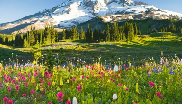 The Best Place Offering Some Of The Most Scenic Views And Some Fun-Filled Adventurous Roads