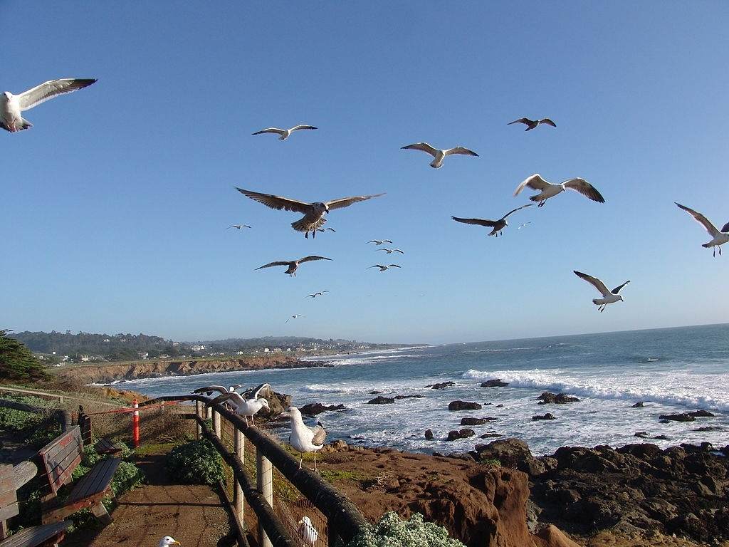 Discover Amazing Spots In California
