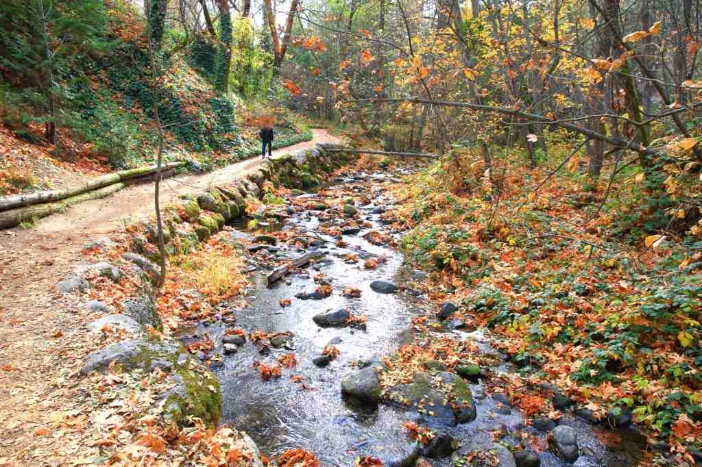 Visit Ashland, Oregon To Spend Adventourous Holidays