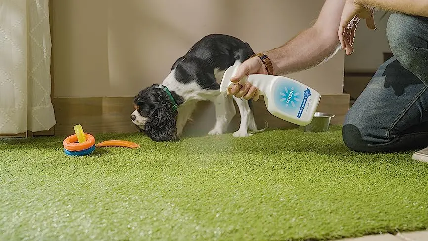 Pooph Reviews: The Ultimate Guide To Pet-Friendly Shopping