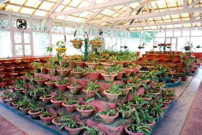 Tipi Orchidarium