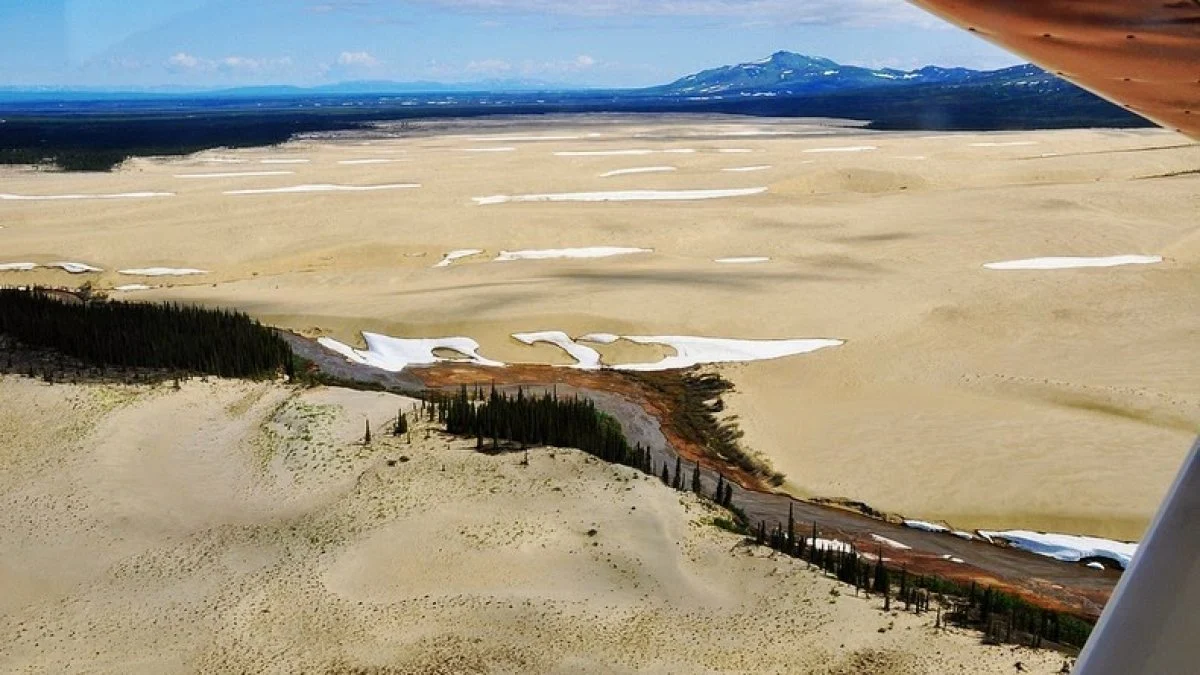 Great Kobuk Sand Dunes 