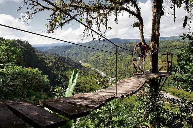 Quito To Mindo Cloud Forest Full-Day Adventure And Nature Tour 2023 - Viator