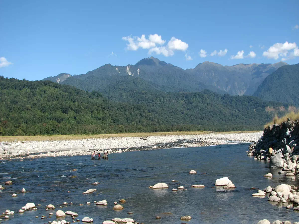 Exploring Arunachal Pradesh'S Namdapha National Park | Times Of India Travel