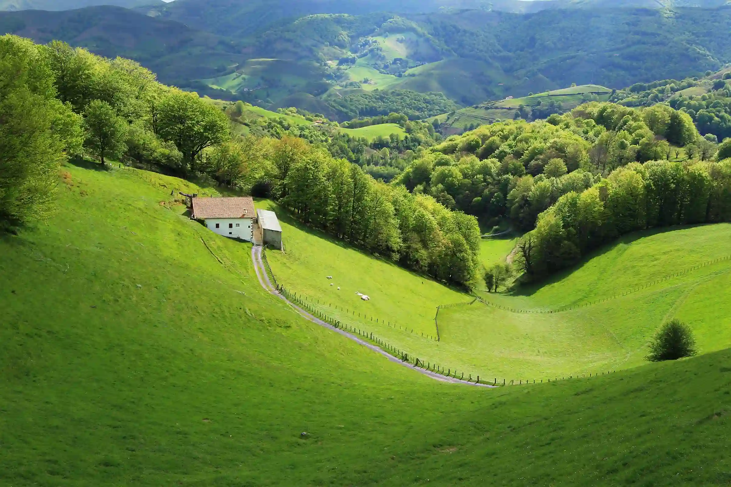 France’s Natural Gems: A Guide For Nature Lovers