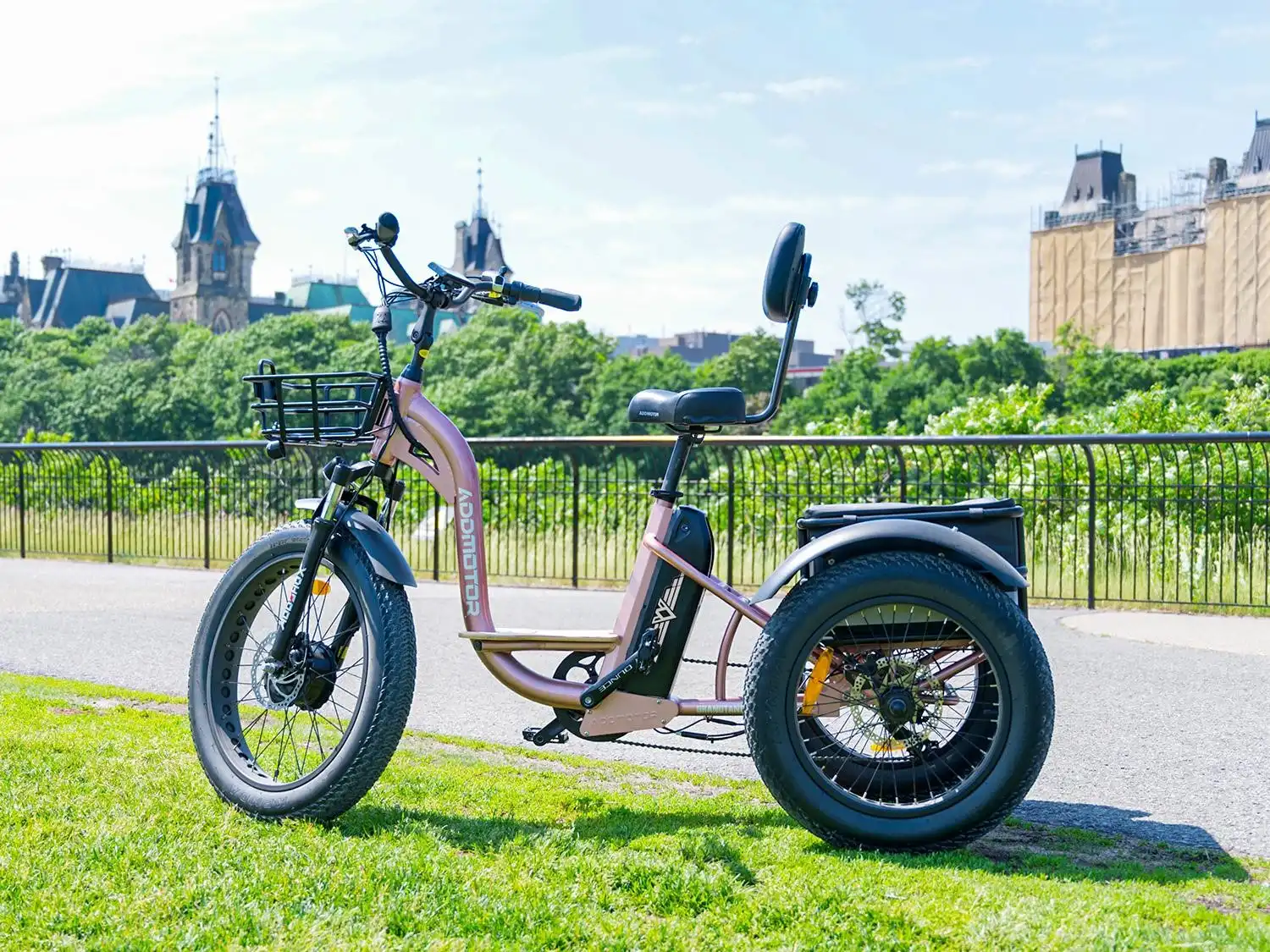 Power Up Your Ride On Grandtan Electric Trike
