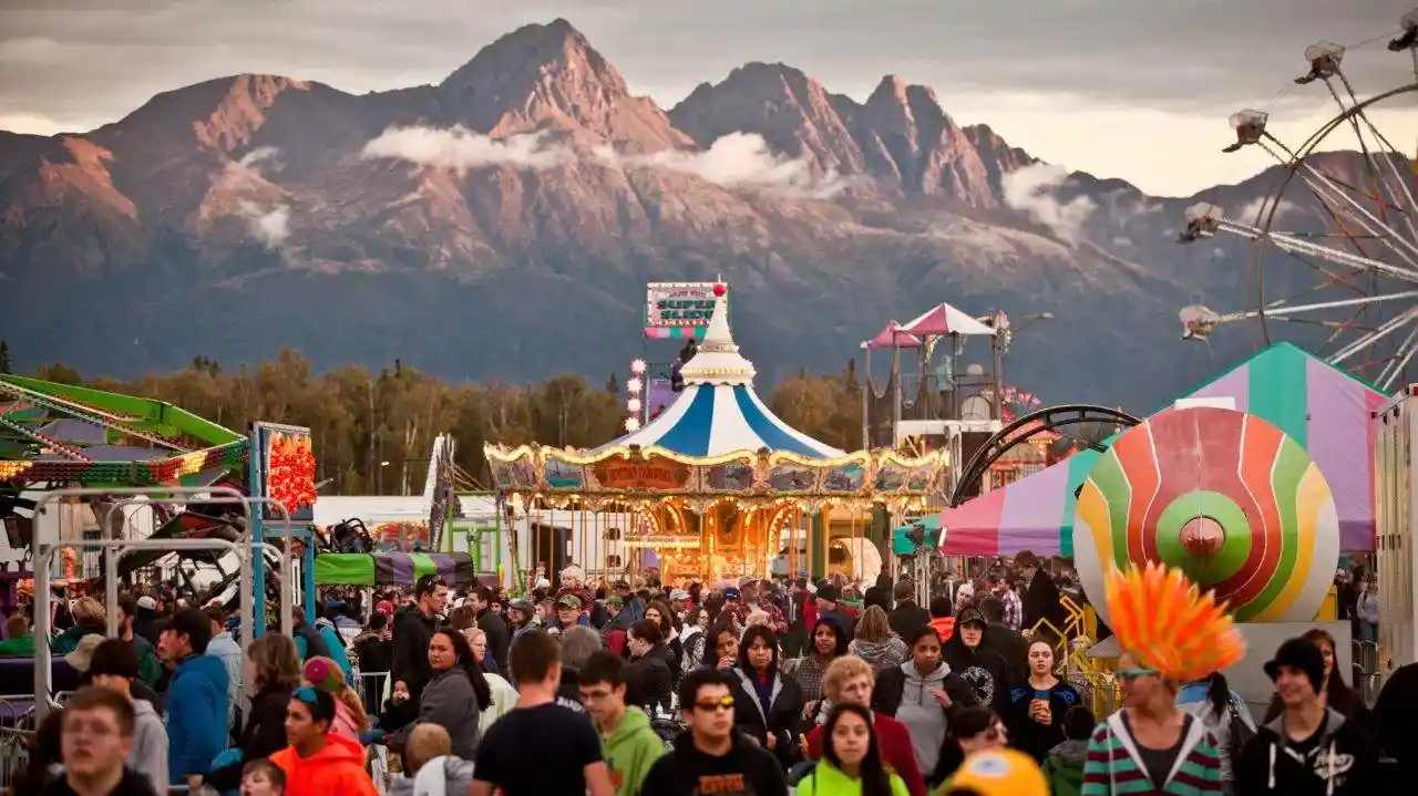 Chicken Stock Festivals 