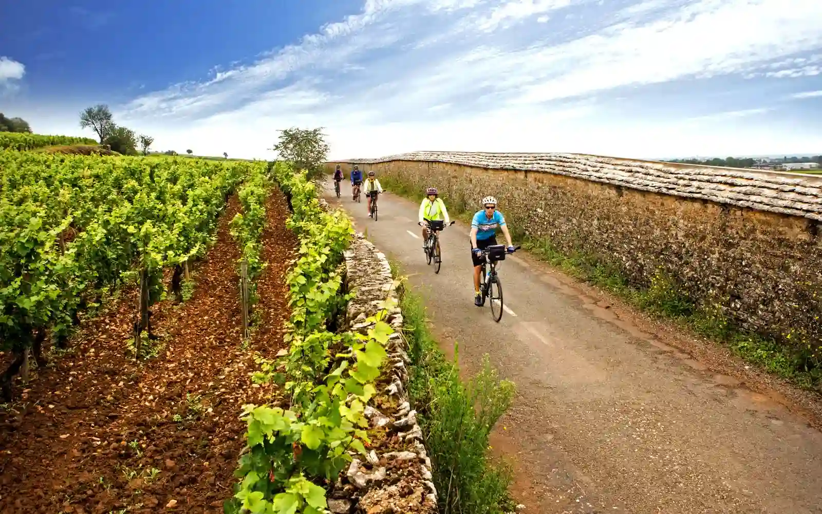 Cycling In Alsace - Wine Tour