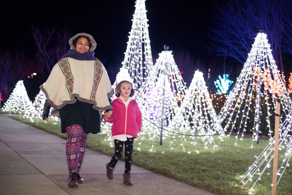 Winter Lights At The N.c. Arboretum During Christmas Holidays - Travelistia