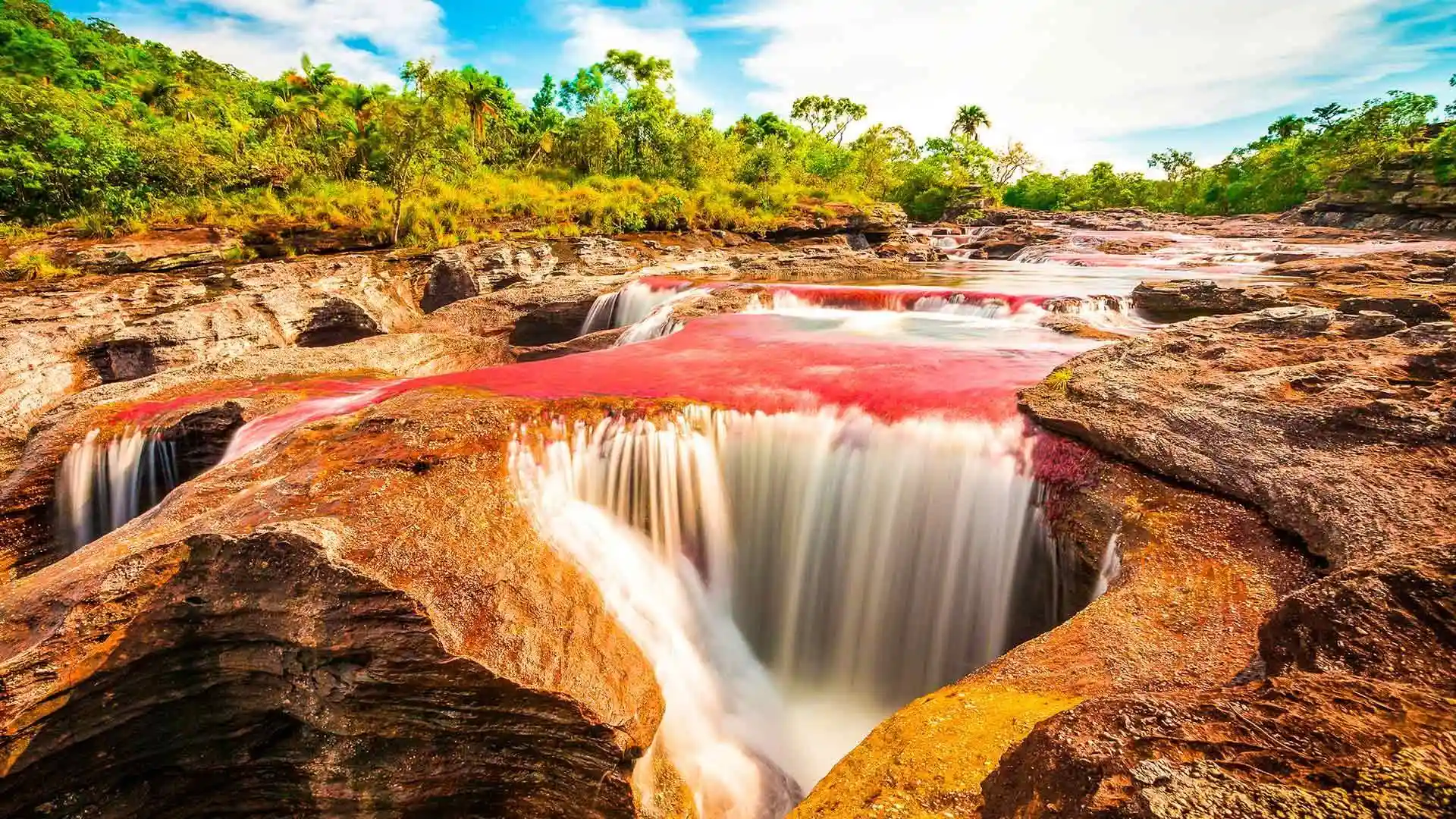 Cano Cristales, The River Of 5 Colors