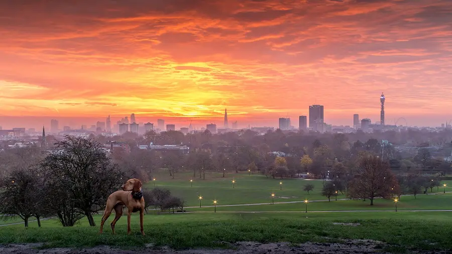 11 Parks In North London That Are A Gem For The Eyes