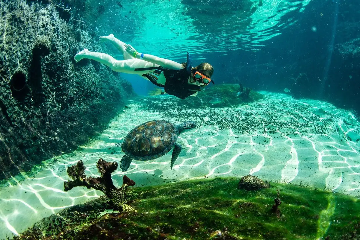 Cayman Turtle Centre