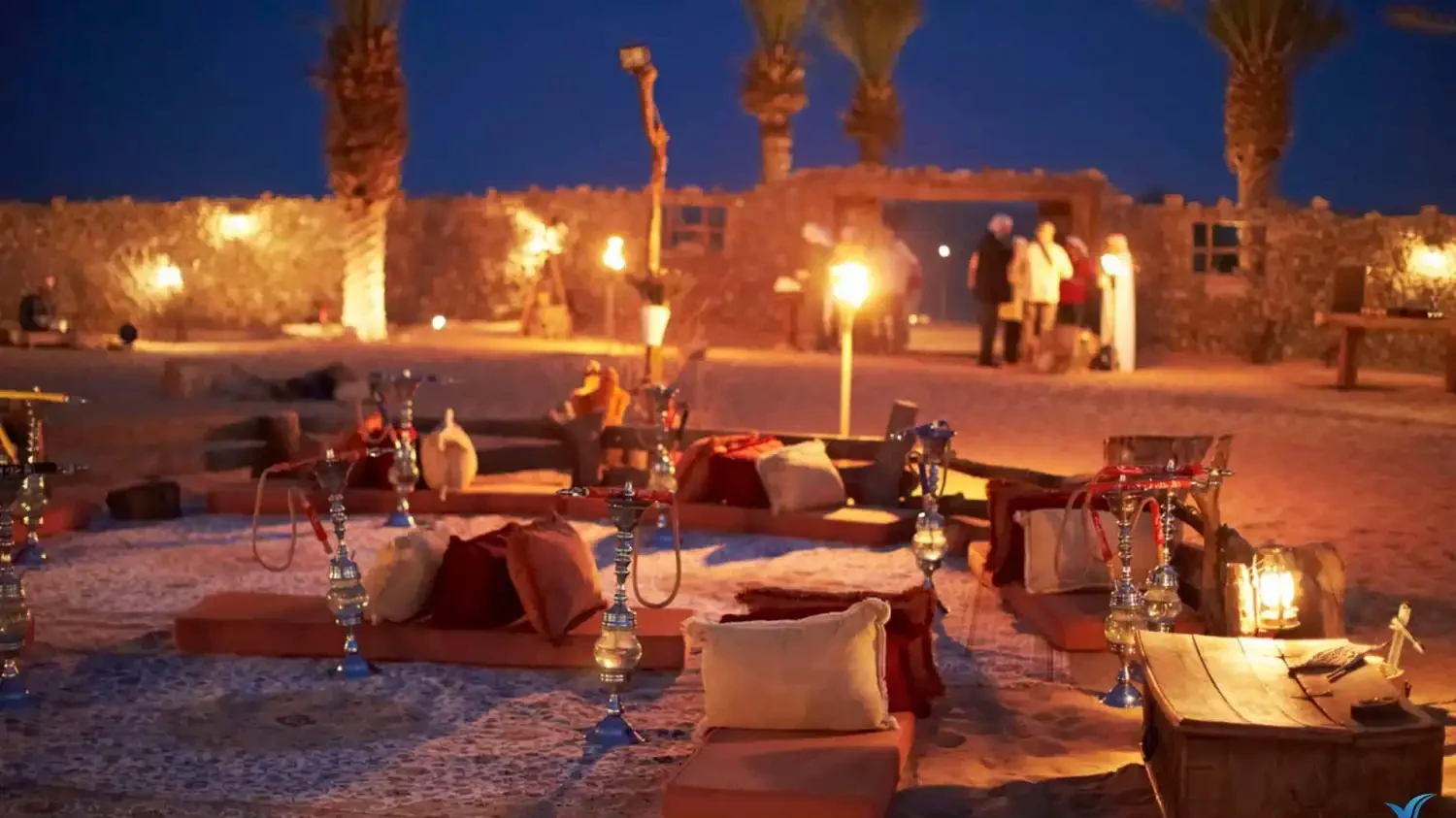 The Nightlife Of The Desert: Exploring The Arabian Nights