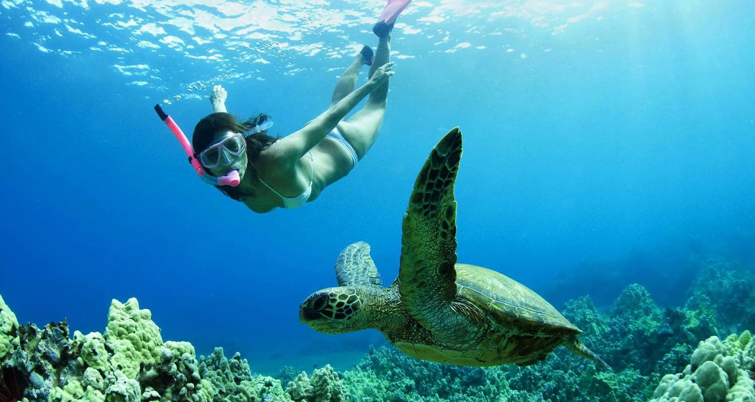 Diving &Amp; Snorkeling Cayman Island