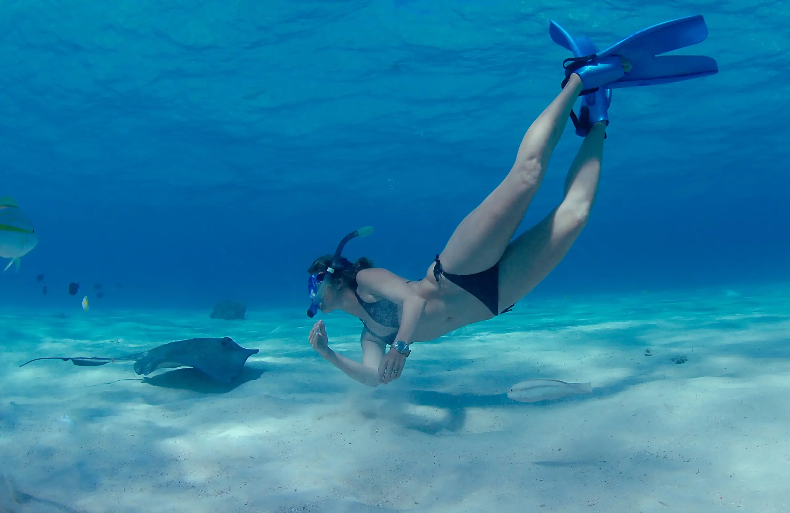 Diving &Amp; Snorkeling Cayman Island