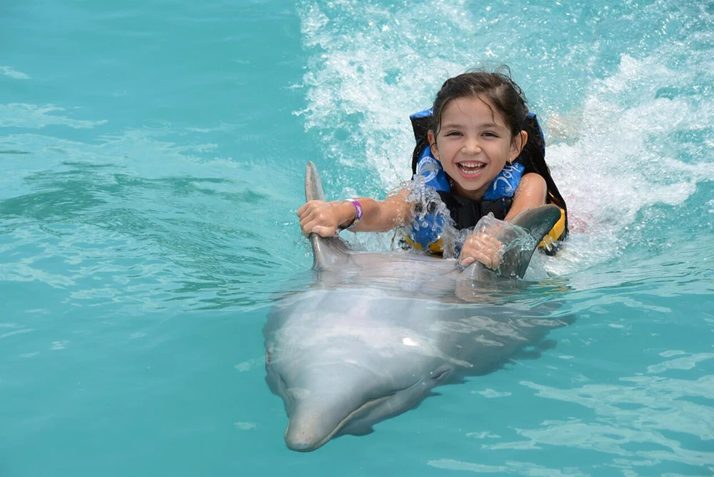 Dolphin Discovery Grand Cayman