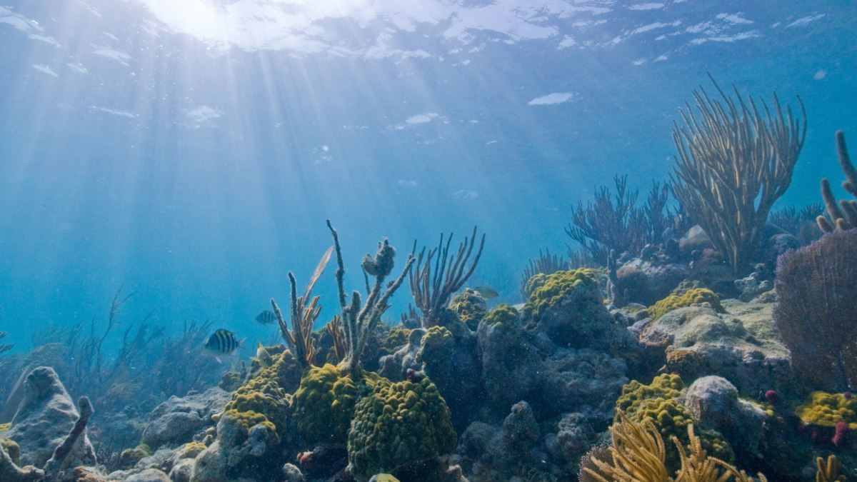 Top Travel Vacations Spot Is Biscayne National Park