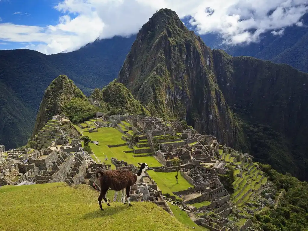 Machu Picchu