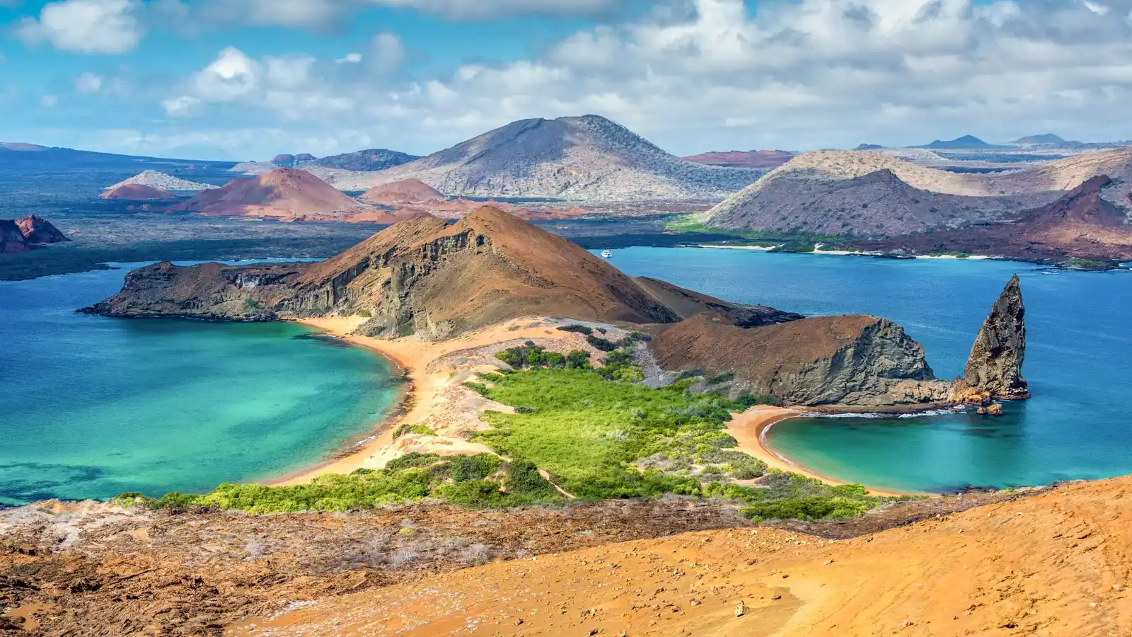 The Galapagos Islands