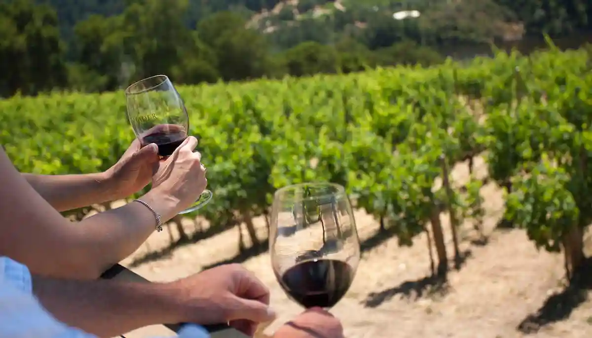 Go On A Wine Tasting Trip!