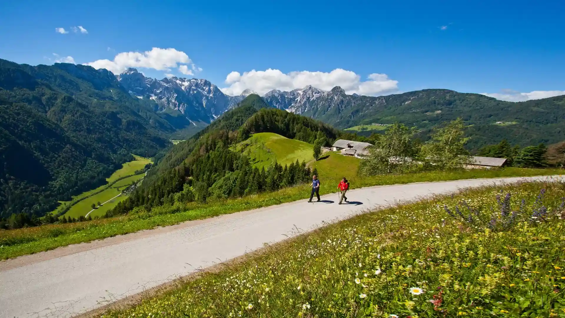 Slovenia: Solčava Panoramic Road