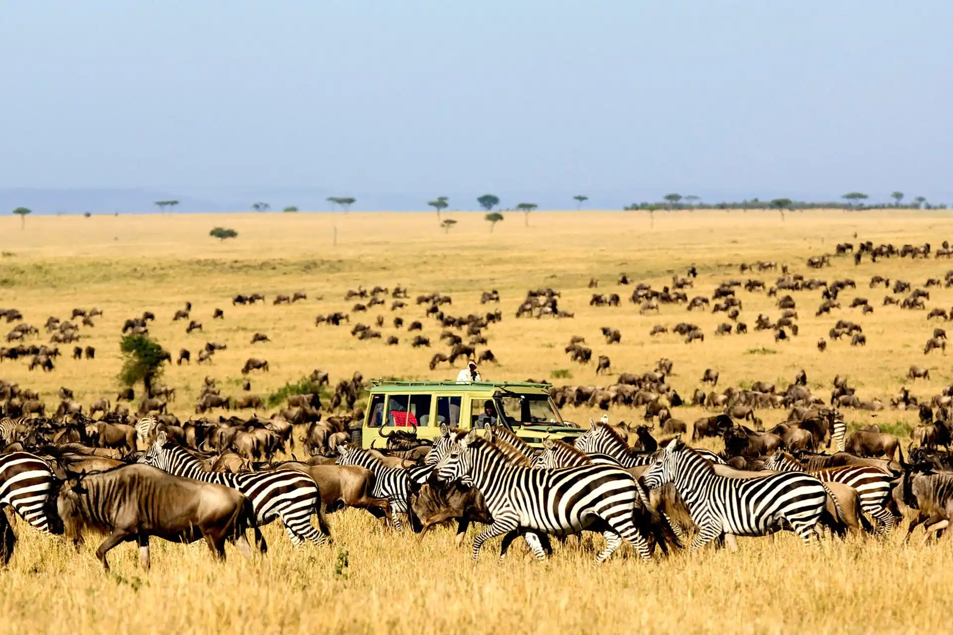 Serengeti National Park 