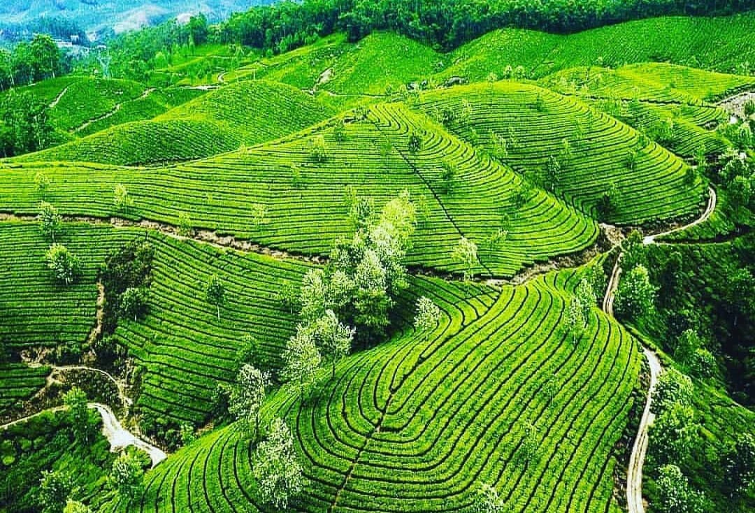 Echo Point, Munnar: A Guide To The Enchanting Destination