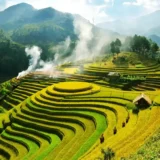 Top 10 Incredible Terrace Fields In The World