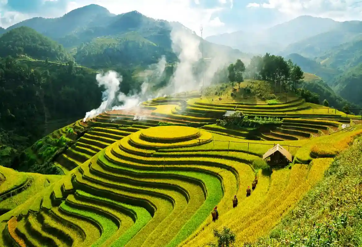 Top 10 Incredible Terrace Fields In The World