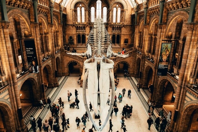 20 Best Museums In Europe To Visit