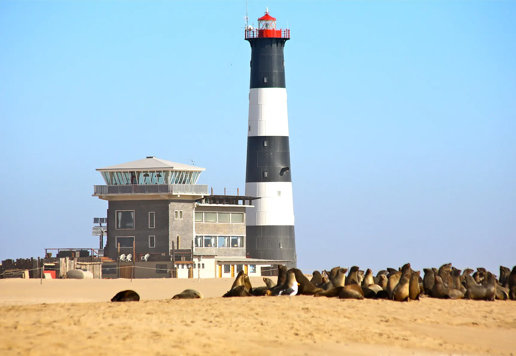 Pelican Point, Namibia