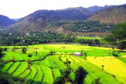 Places To Visit In Baramulla