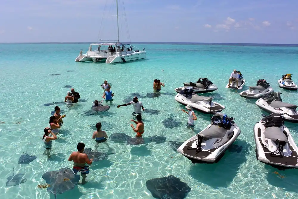 Stingray City On Cayman Island