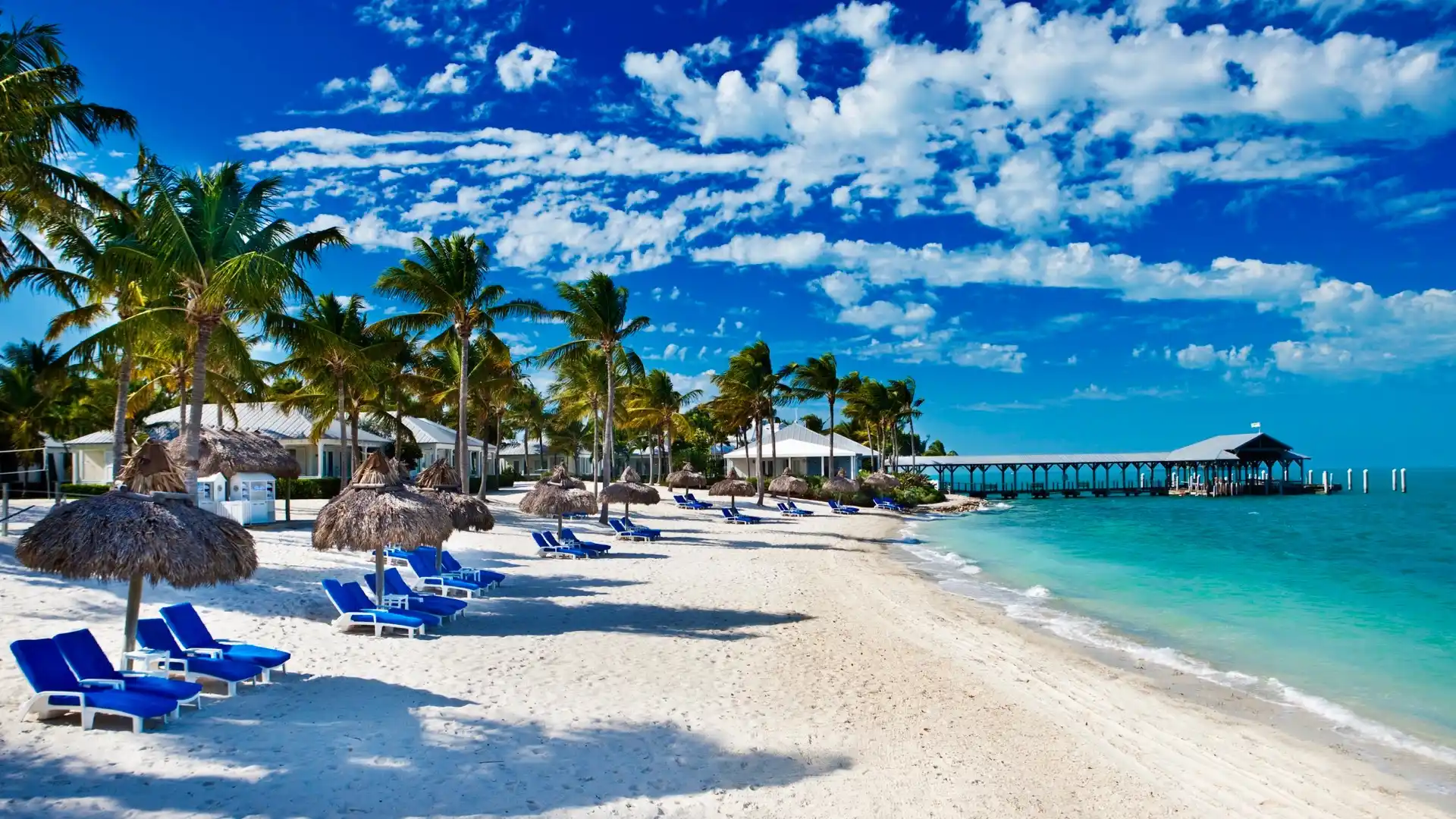 Seafood, Fishing, And Beyond: Discovering The Ecological Wonders Of The Florida Keys And Key West