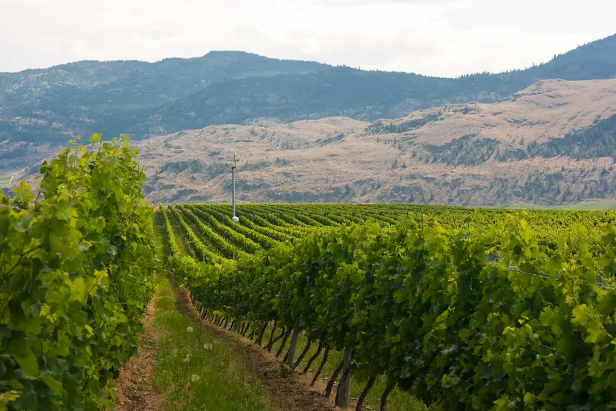 Traveling To Okanagan Valley? Know What You Should Not Miss In This Scenic Destination