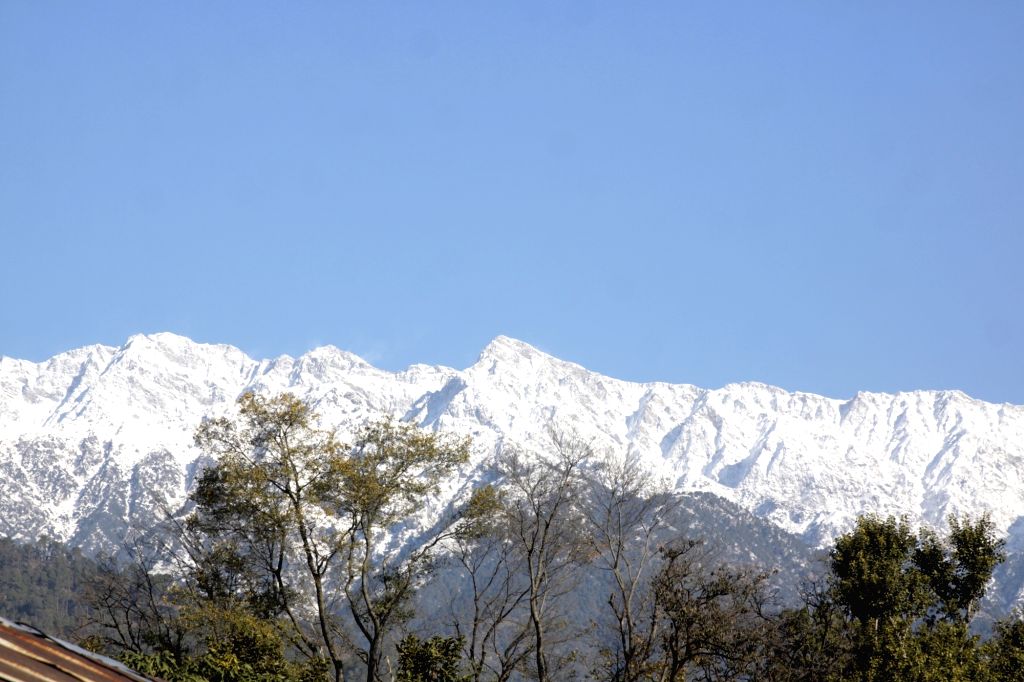 Palampur (Himachal Pradesh): Dhauladhar Range Snowfall