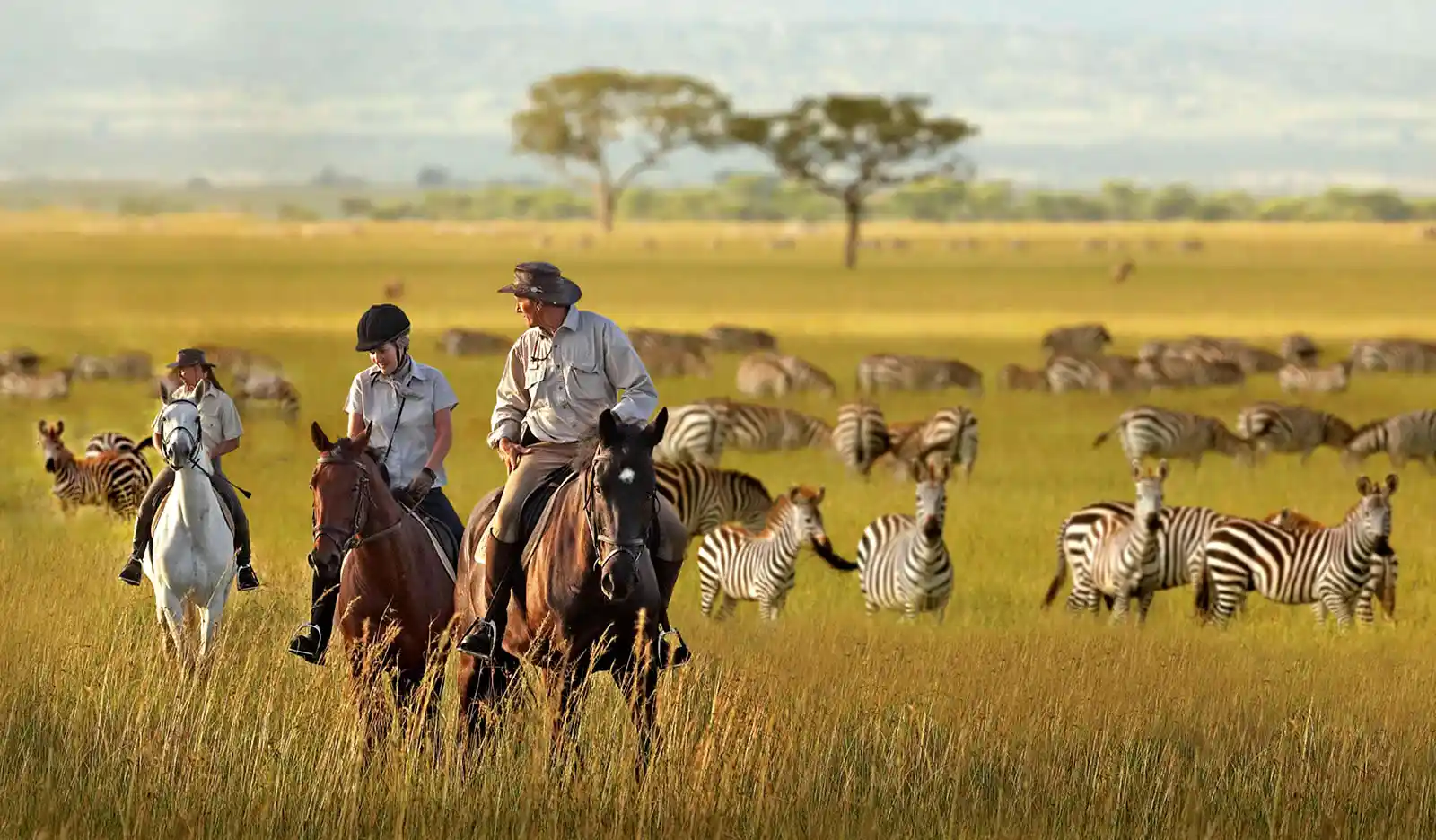 African Vacation Safari