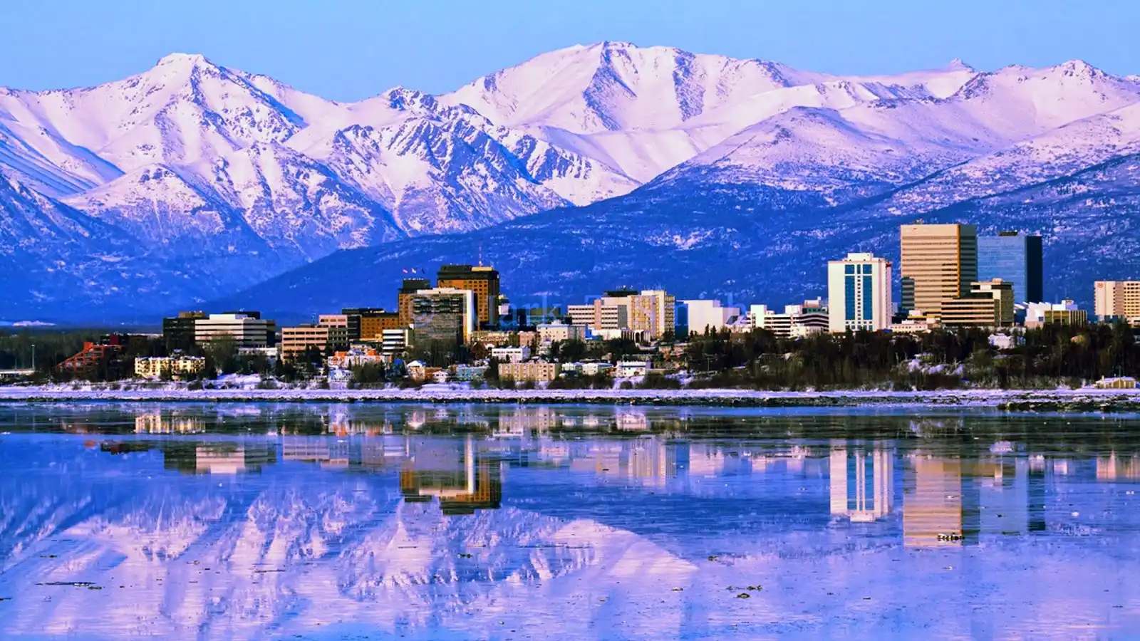 Anchorage Market 