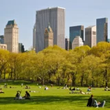 Enjoying Nyc’s Parks And Outdoor Spaces On A Budget