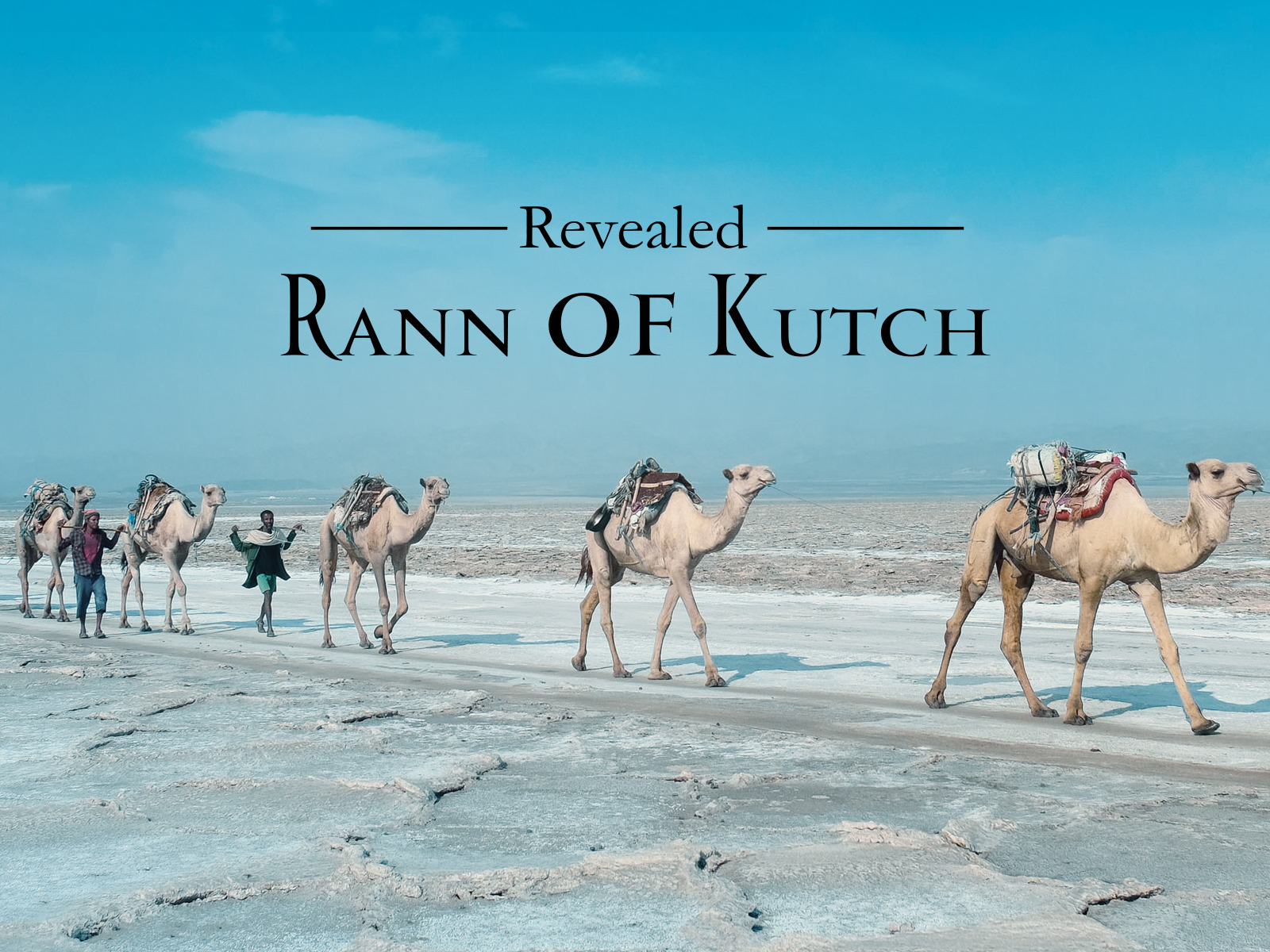 Prime Video: Revealed: Rann Of Kutch - Season 1