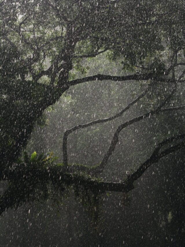 Stories