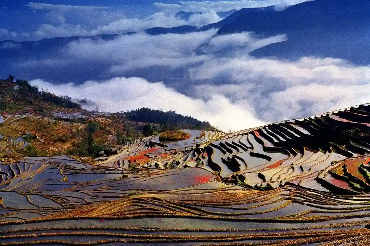 Hani Terraces