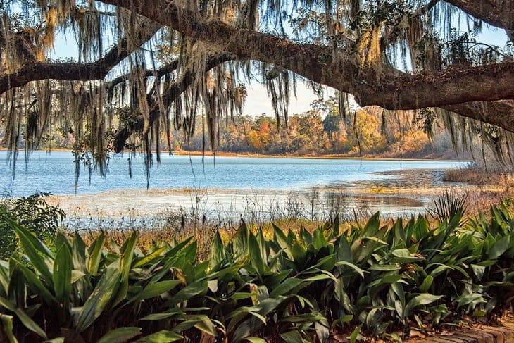 10 Top-Rated Things To Do In Tallahassee, Fl | Planetware