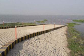 Harike Wetland, Punjab