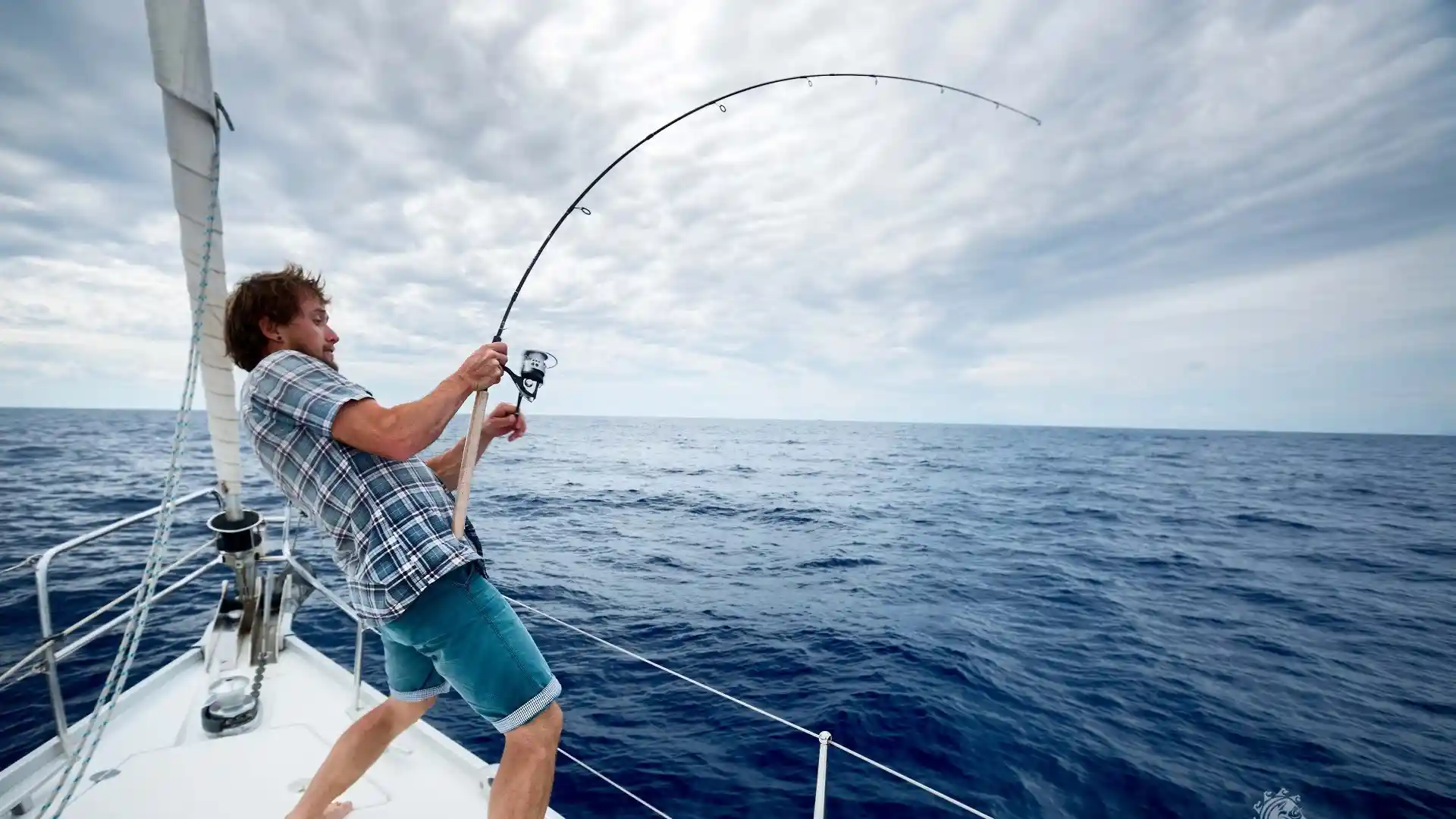San Diego Residents: 4 Reasons To Use A Fishing Charter
