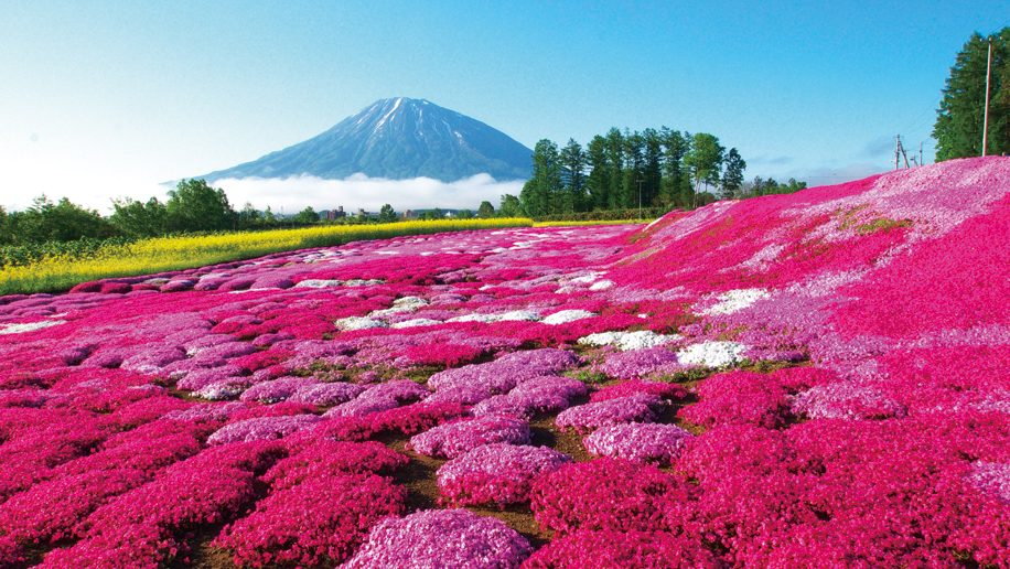 Hokkaido: Island For All Seasons – Business Traveller