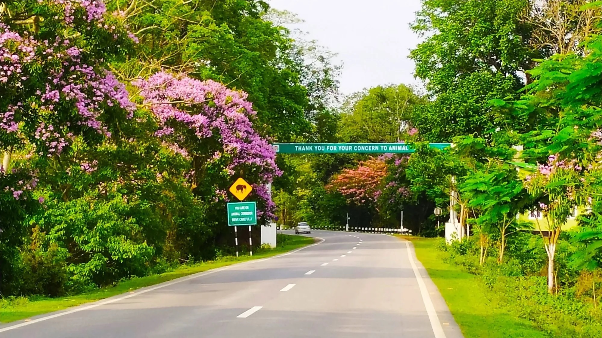 Top 5 Places To Visit In Bhalukpong