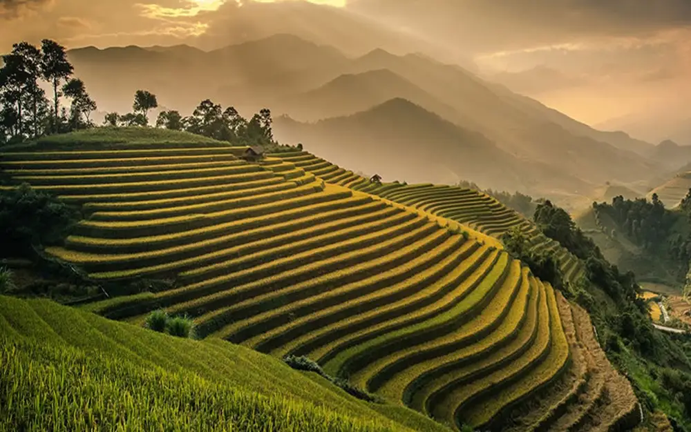 Banaue Rice Terraces 