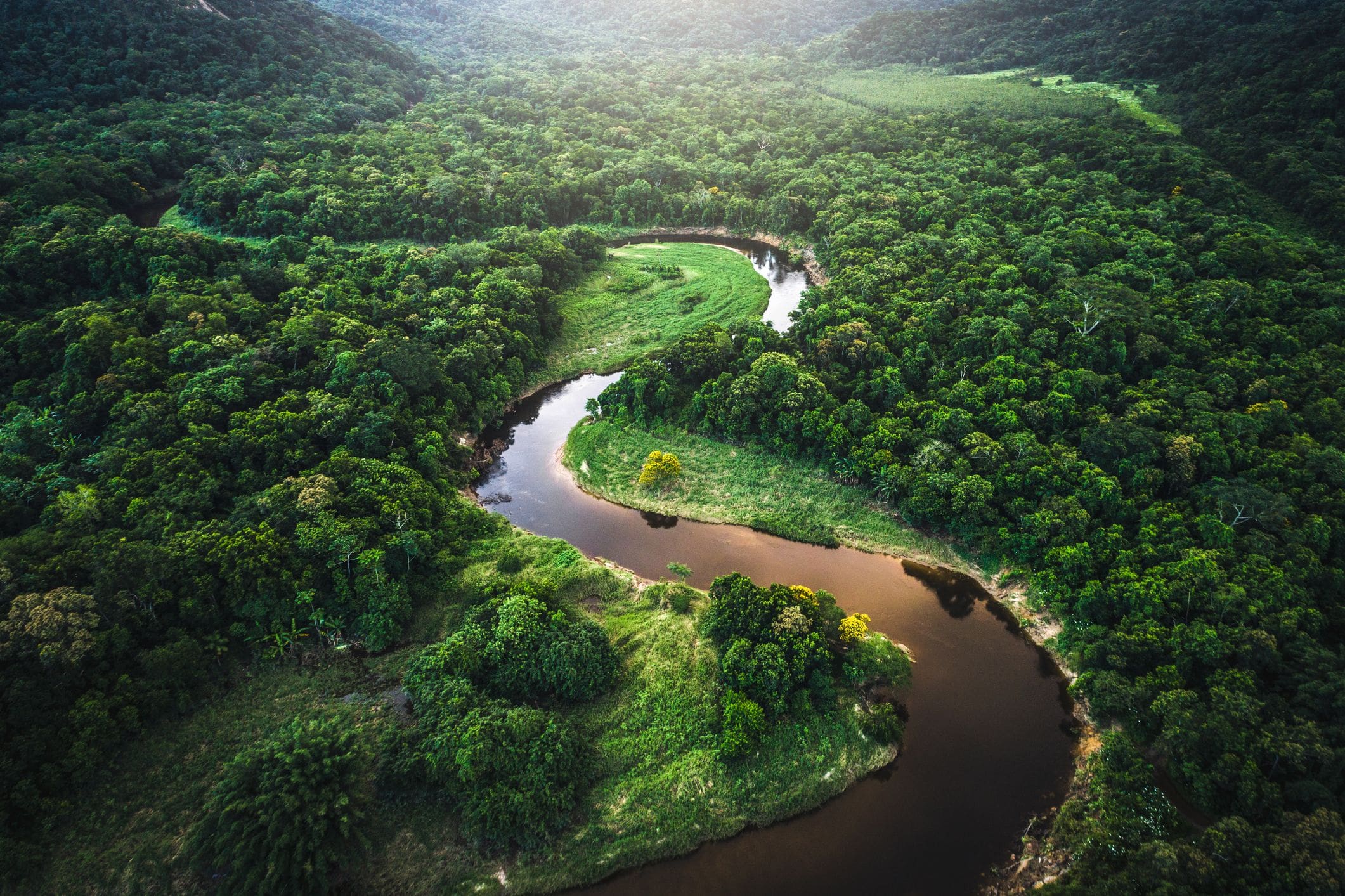 Why Is The Amazon Rainforest Important?